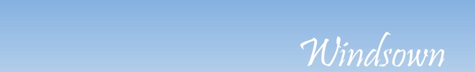 Windsown header image
